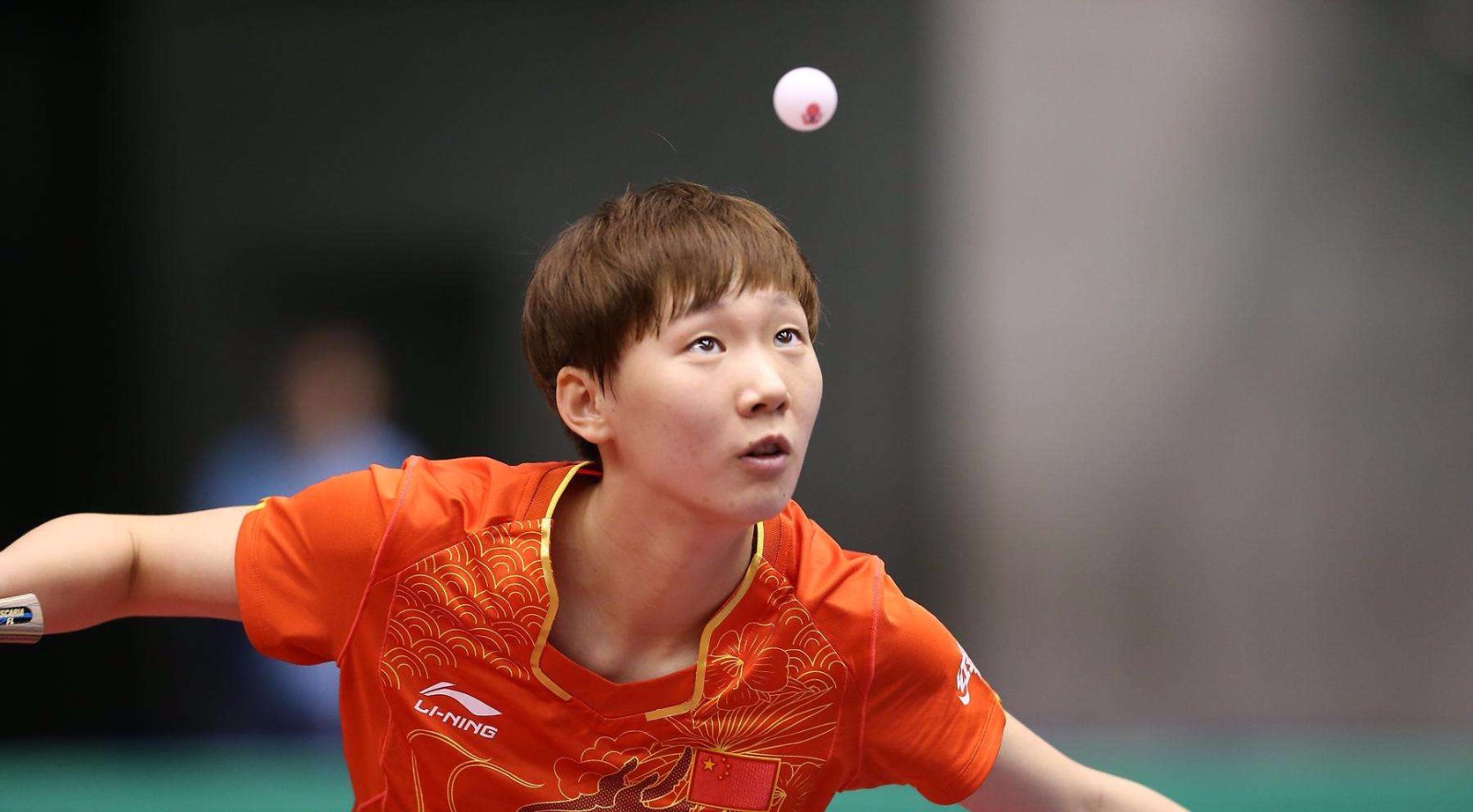 我们不仅能 我们不仅能