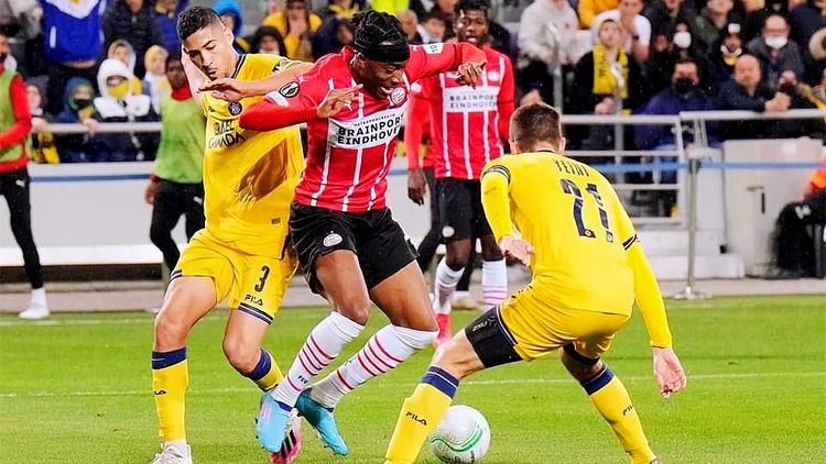 能够发掘出 能够发掘出